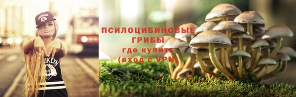соль курить ск Няндома