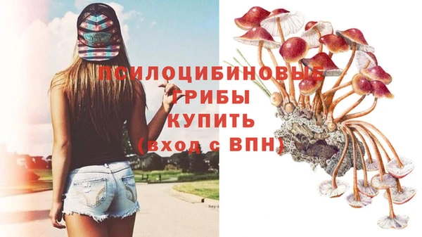 прущая мука Балахна